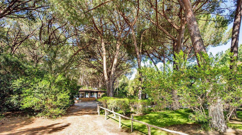 Camping Maremma Sans Souci Castiglione della Pescaia Exterior photo